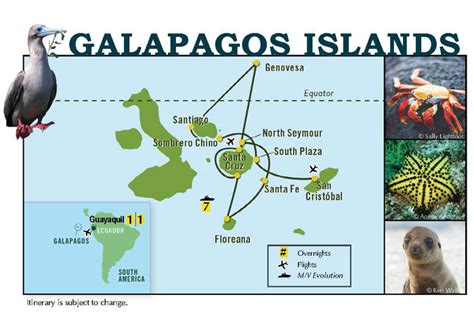 ガラパゴス諸島 場所 - 進化の島と現代社会の交差点