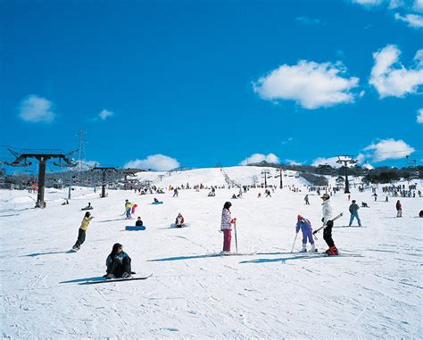 ひるがの高原スキー場、雪の上で哲学するカエルの夢