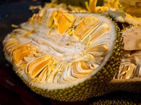 Jackfruit: A Chilling Exploration into Ancient Fear and Modern Dread!