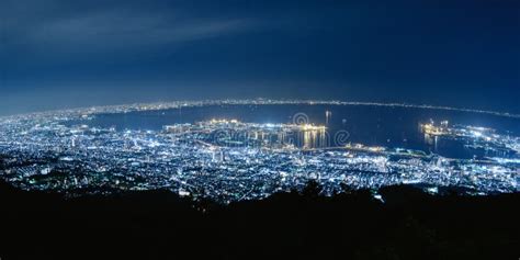 神戸 夜景 ホテル そして、なぜ猫は夜景を好むのか？